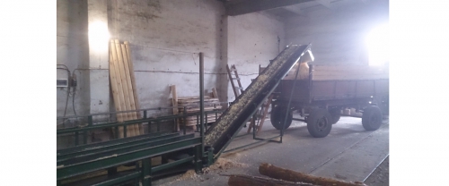 Conveyor to remove sawdust TOL-2
